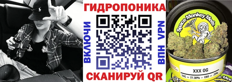 Канабис конопля  Никольское 